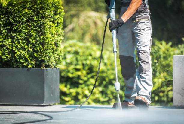 Best Soft Washing  in Jerseyvle, IL